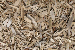 biomass boilers Copt Oak