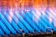 Copt Oak gas fired boilers